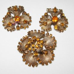 Brooch & earrings